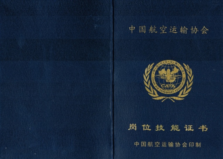 空中乘务专业